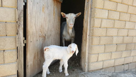 Offgrid Farm