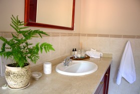 Wild Olive Executive Suite