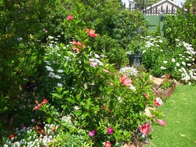 Silver Birch Bed & Breakfast