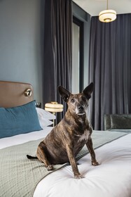 Home Suite Hotels Bristol