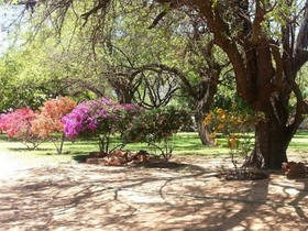 Black Swan Guest House