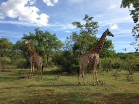 Kedar Heritage Lodge