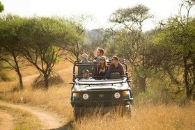 Mziki Safari Lodge
