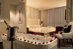 DAVINCI Hotel and Suites