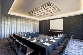 DAVINCI Suites