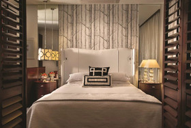 DAVINCI Suites