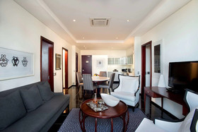 DAVINCI Suites