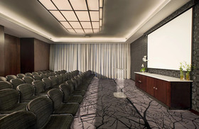 DAVINCI Suites