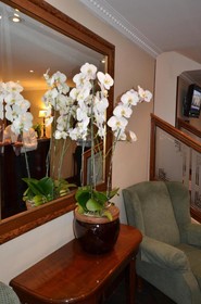 Premier Hotel Falstaff