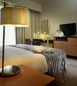 Southern Sun Hyde Park Sandton