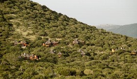 Thanda Safari