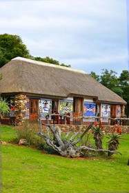 Addo Bush Palace Private Reserve