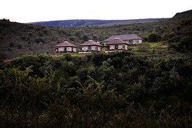 Addo Bush Palace Private Reserve