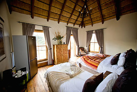 Addo Bush Palace Private Reserve