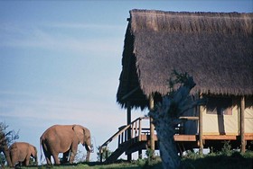 Gorah Elephant Camp