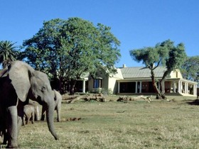 Gorah Elephant Camp