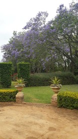 Hopefield Country House