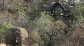 Kuzuko Lodge