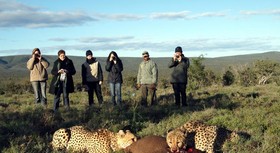 Kuzuko Lodge