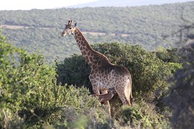 Valley Bushveld Country Lodge