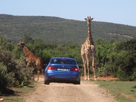 Valley Bushveld Country Lodge