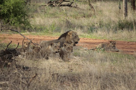 Emhosheni River Lodge