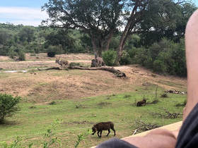 Emhosheni River Lodge