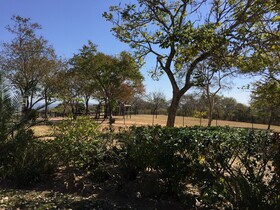 Bergdale Cottages