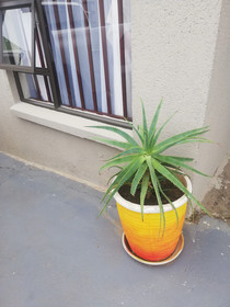 BTV Guesthouse