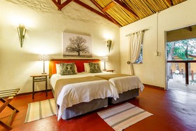 Gecko Lodge