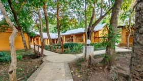 Gecko Lodge