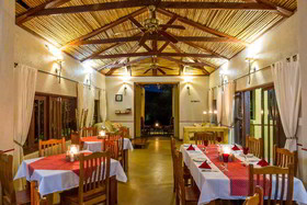 Gecko Lodge