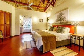 Gecko Lodge