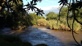 Gecko Lodge