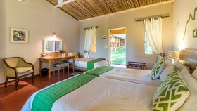 Gecko Lodge