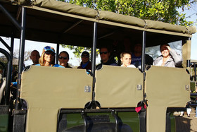 Hazyview Buffalo Game Lodge