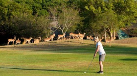 Kruger Park Lodge