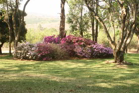 Laughing Waters Guest House