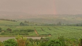 Nabana Lodge