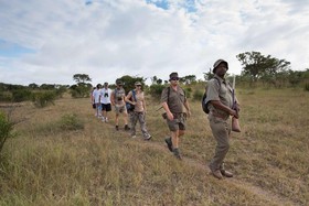 Nkambeni Safari Camp