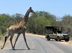 Safari Bed & Breakfast
