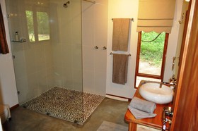 Bushwillow Collection