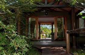 Bushwillow Collection