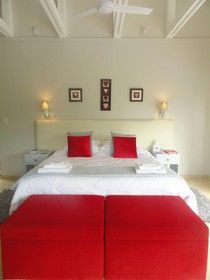Bushwillow Collection