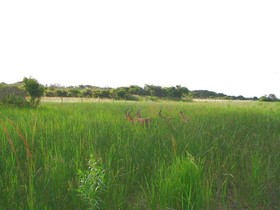 Emdoneni Lodge