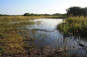Emdoneni Lodge
