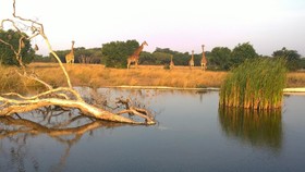 Gooderson Bushlands Game Lodge