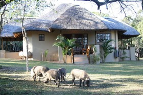 Bonamanzi Game Park Lalapanzi Camp