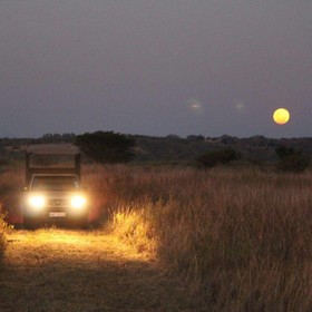 Bonamanzi Game Park Lalapanzi Camp