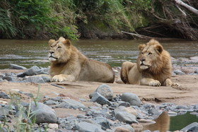 Leopard Mountain Safari Lodge